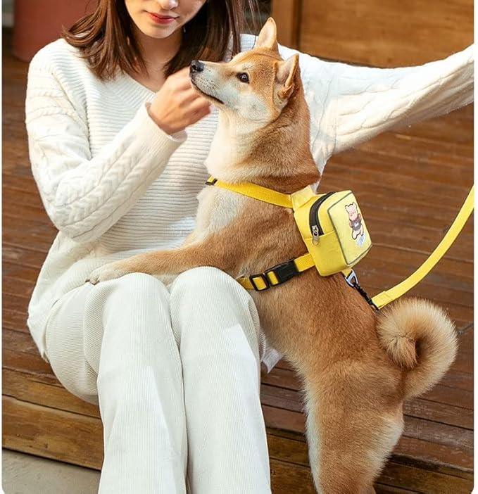 Dog Bag and Leash Set - Dog Bag Harness for Small Dogs Medium Dogs- Adjustable in Harness for Dogs (Medium 7-16 Ib)