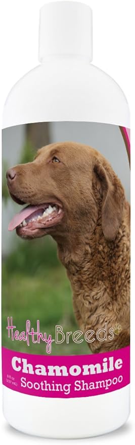 Healthy Breeds Chesapeake Bay Retriever Chamomile Soothing Dog Shampoo 8 oz