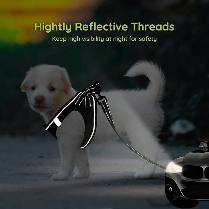 BELLA & PAL Puppy Harness with Leash Set, Dog Harness for Small Dogs No Pull, Dog Leash for Small Dogs, Step in Harness for Extra Small Dogs, Black Harness, XS