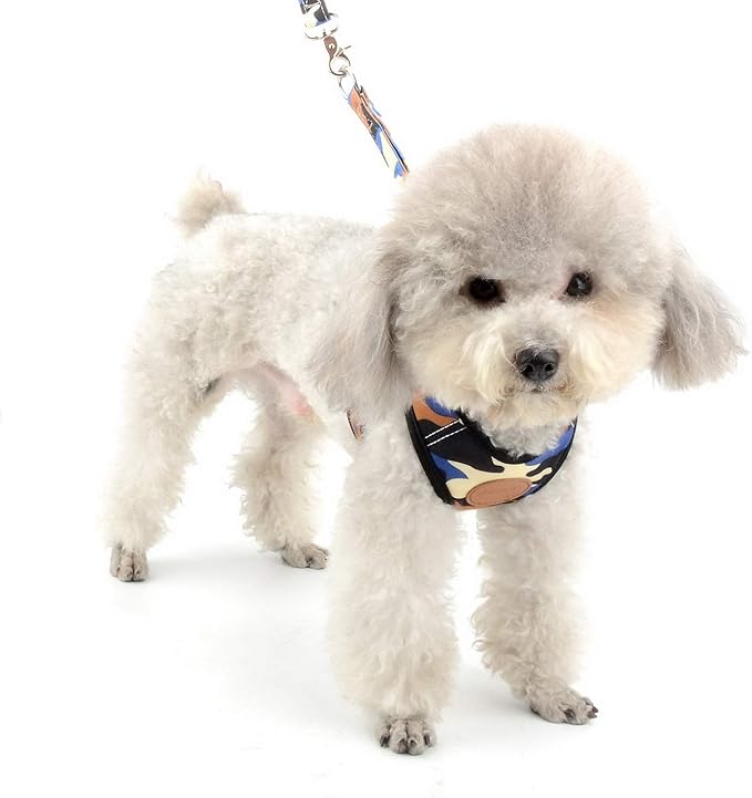 SMALLLEE_LUCKY_STORE Small Dog Cat Mesh Harness & Lead No Escape Adjustable Padded Military Camo Blue, M Chest:11.5"-15.5",Weight 6.5-11lbs