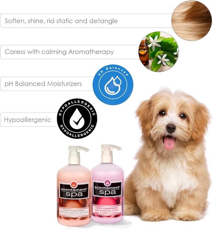 Best Shot Scentament Spa Puppy Conditioner, pH Balanced and Hypoallergenic Skin Care Product for Any Dog, Cat, Puppy, or Kitten, Mandarin Jasmine Honey, 16 Oz