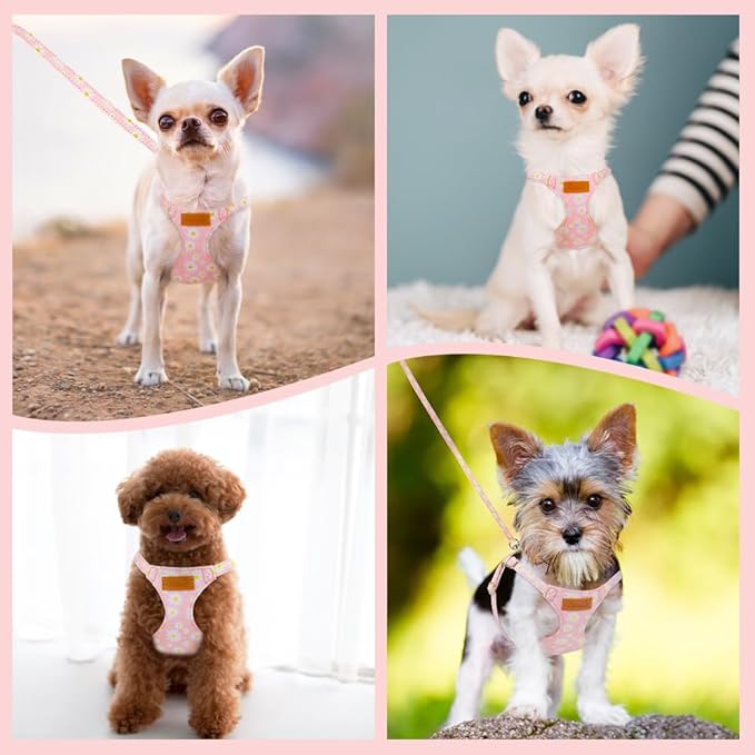 SlowTon No Pull Dog Harness with Leash - Soft Lightweight Floral Pattern Puppy Harness, Adjustable Pet Harness for Small Medium Dogs (Pink Daisy M)