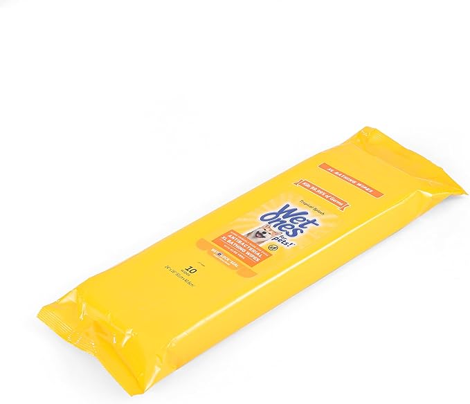 Wet Ones for Pets Multipurpose XL Disposable Pet Bathing Wipes, 10ct, Tropical Splash Scent | Dog Cleaning Wipes, Extra Large Disposable Dog Wipes, Scented Dog Wipes