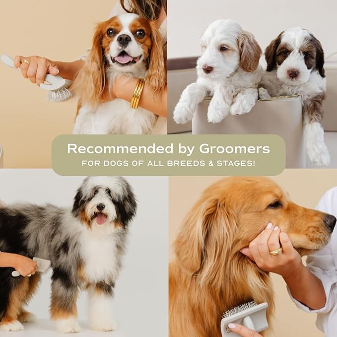 Slicker Brush for Professional and Luxury Dog Grooming to Prevent Matting with Dense and Extra Long Stainless Steel Pins (Goldendoodles, Labradoodles, Poodles)