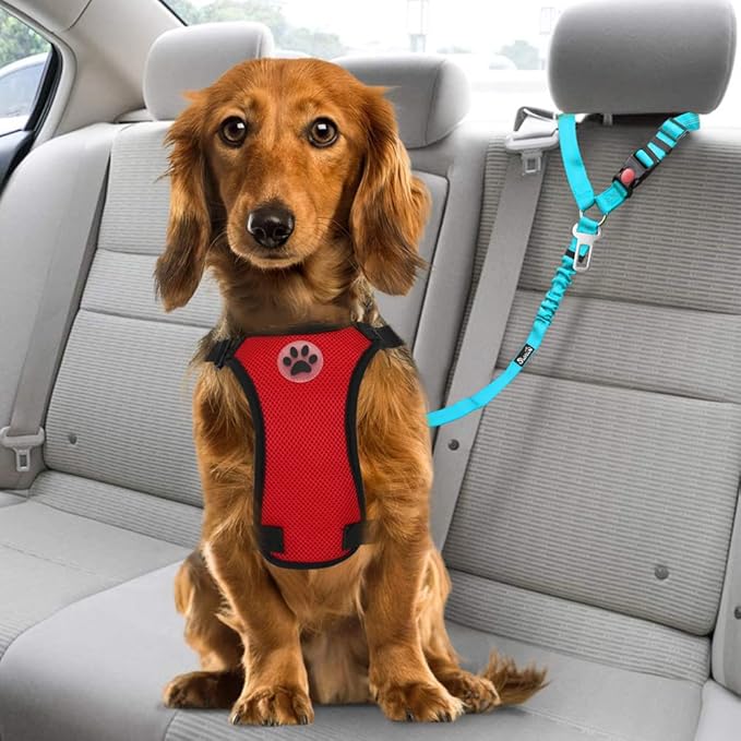 Lukovee Dog Car Seat Belt, 2 Pack Headrest Restraint Seatbelt, Adjustable Pet Safety Leads with Reflective Elastic Bungee for Dog Harness Collar Travel Daily Use (Tiffany Blue,Headrest+Clip)