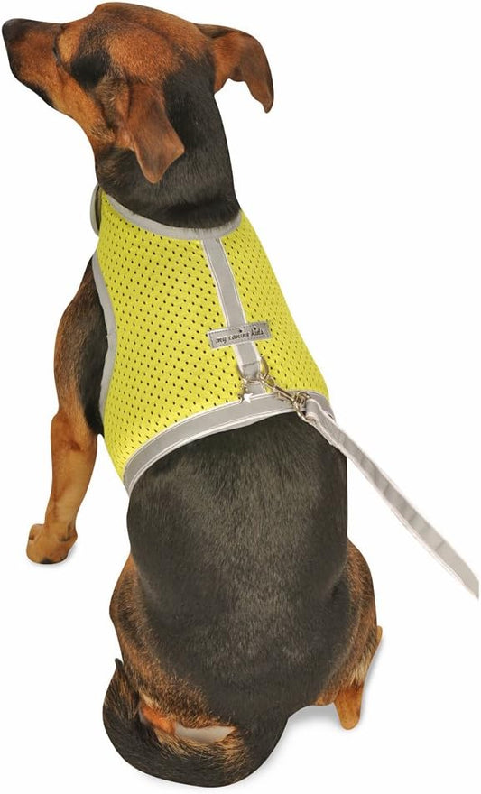 Athletic Mesh Dog Harness for Teacup, Teacup 1 - Small Dogs and Puppies | Reflective Trim and Comfortable Velcro Closure