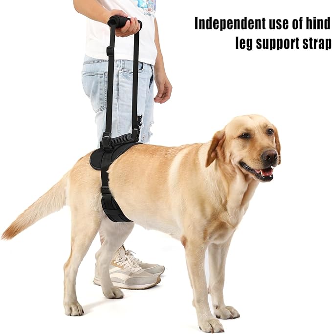 NOYAL Large Dog Lift Harness Rehabilitation Sling Lift Front-Only, Rear-Only or Full-Body for Old, Pet Support Disabled, Joint Injuries, Arthritis, Loss of Stability Dogs