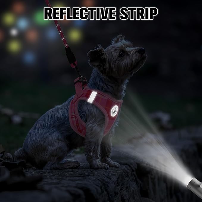 BEAUTYZOO Small Dog Harness and Leash Set, Step in No Chock No Pull Soft Mesh Dog Harnesses Reflective for Small Medium Puppy Dogs and Cats, Plaid Dog Vest Harness for S M Pets, Light Pink M