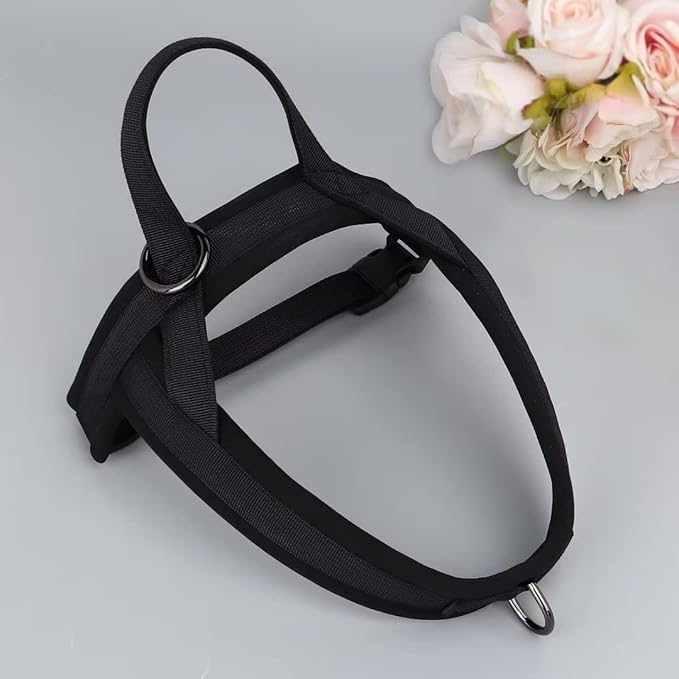 Beirui No Pull Dog Harness for Small Medium Dogs Puppies, Soft Neoprene Quick Fit Harness with Durable Front Clip & Back Clip, Lightweight Easy for Daily Walking (Black,M)