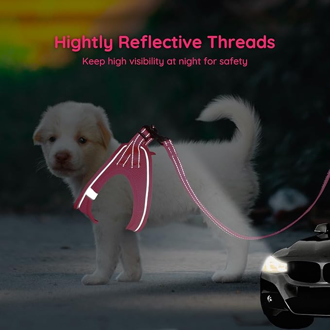 BELLA & PAL Puppy Harness with Leash Set, Dog Harness for Small Dogs No Pull, Dog Leash for Small Dogs, Step in Harness for Extra Small Dogs, Hot Pink Harness, S