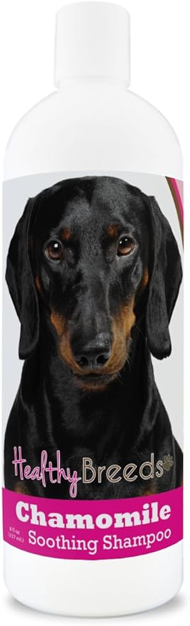 Healthy Breeds Dachshund Chamomile Soothing Dog Shampoo 8 oz