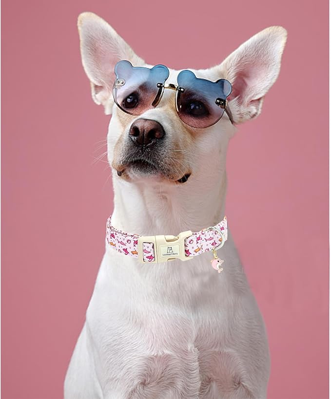 Lionheart glory Dog Collar Shark Pattern Dog Collar Pink Dog Collars Male or Female Spring Summer Cute Collar Pet Gift Durable Adjustable Dog Collar for Small Dogs