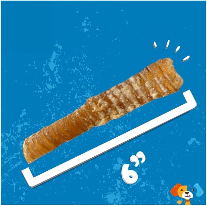 Jack&Pup 6" Flat Beef Trachea for Dogs | All Natural Single Ingredient Dog Treat Dog Trachea Chews | Savory and Fun Treat for Dogs (10 Pack)