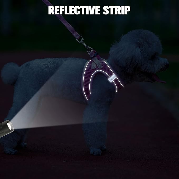 BEAUTYZOO Step in Dog Harness and Leash Set, Reflective Dog Harness No Pull No Choke Puppy Cat Harness Adjustable for XXS XS S Dogs Cats, Soft Padded Mesh Vest Harnesses for Girl and Boy Pets