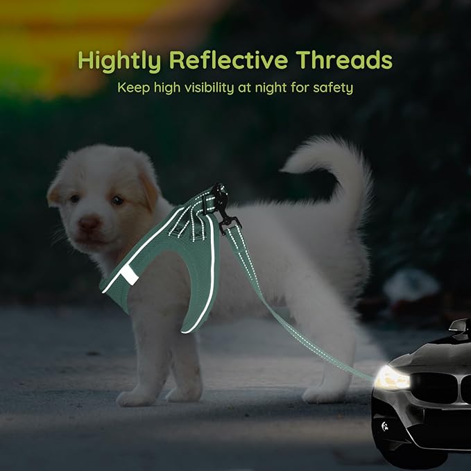 BELLA & PAL Puppy Harness with Leash Set, Dog Harness for Small Dogs No Pull, Dog Leash for Small Dogs, Step in Harness for Extra Small Dogs, Light Green Harness, XS