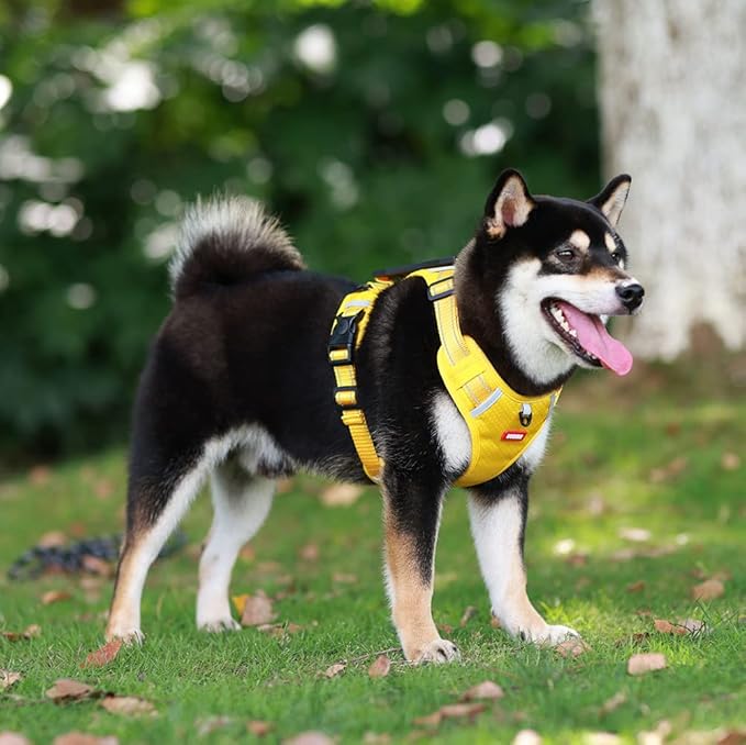 No Pull Dog Harness Reflective No Choke Pet Padded Vest Harness for Small Medium Large Dogs,Breathable Heavy Duty Dog Walking Harness with Easy Control Handle for Outdoor Training Running