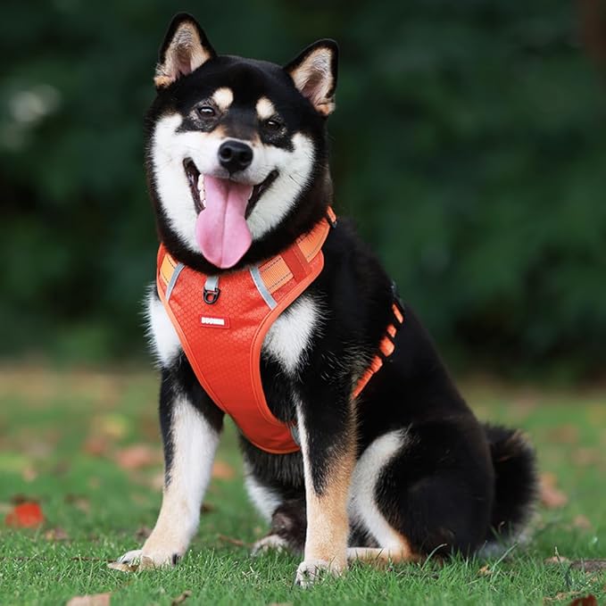 No Pull Dog Harness Reflective No Choke Pet Padded Vest Harness for Small Medium Large Dogs,Breathable Heavy Duty Dog Walking Harness with Easy Control Handle for Outdoor Training Running