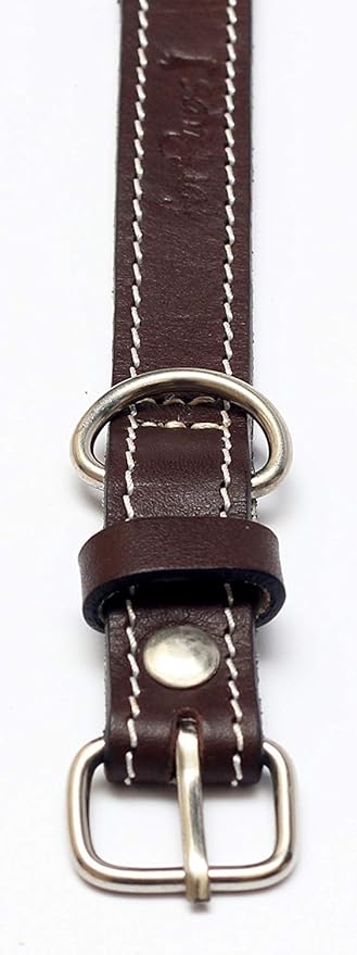 Premium Leather Collars with Stainless Steel Buckles (12"-15", Chocolate)