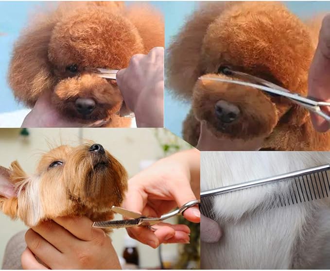 Dog Grooming Scissors Kit with Safety Round Tip, Heavy Duty Stainless Steel Dog Scissors Set Include Straight Scissors, Curved Scissors, Thinning Shears and Comb for Dog Cat Hair Care