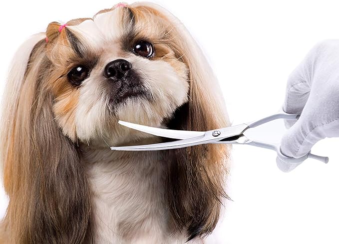 LovinPet Dog Grooming Scissors/6CR grooming Scissors for Dogs/curved Scissors for Dog Grooming/dog Scissors Grooming/left/right-handed Safety Blunt-tip Dog Scissors for Grooming Eyes for Dogs And Cats