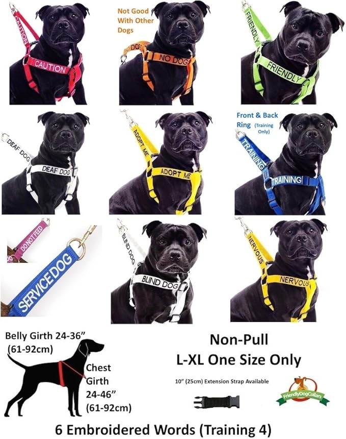 Limited Blind Dog White Color Coded Alert Warning L XL Non-Pull Dog Harness Prevents Accidents by Warning Others of Your Dog in Advance