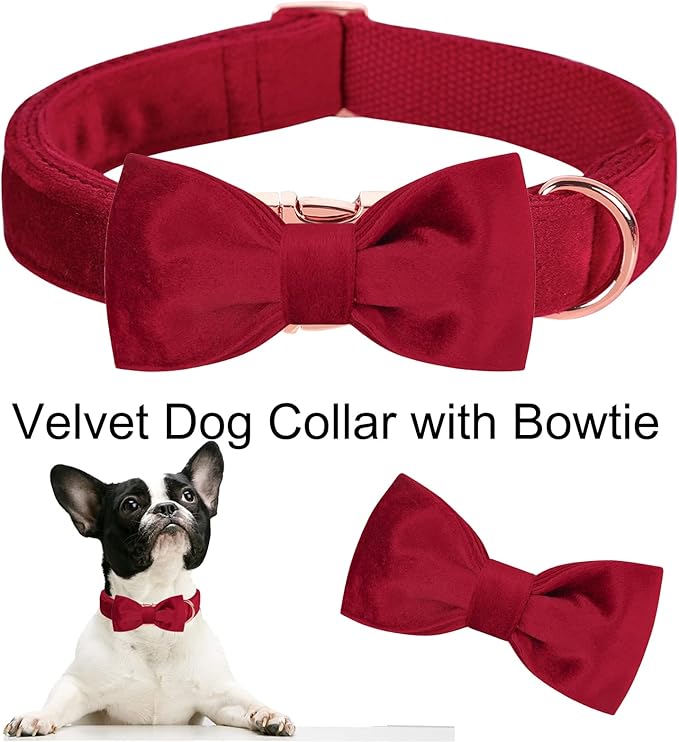 ARING PET Velvet Dog Collar-Soft Bowtie Dog Collars with Metal Buckle, Cute&Comfortable Christmas Red Dog Collar with Bow for Small Medium Large Dogs