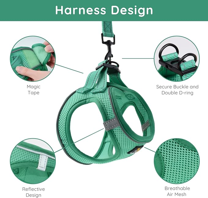 BELLA & PAL Puppy Harness with Leash Set, Dog Harness for Small Dogs No Pull, Dog Leash for Small Dogs, Step in Harness for Extra Small Dogs, Green Harness, L