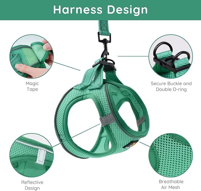 BELLA & PAL Small Emerald Dog Harness with Leash Set, No Pull, Step in Design, Reflective, Lightweight Mesh, S