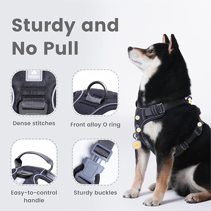 Pawaii Dog Harness for Small Dogs, Dog Harness with Pet ID Tag, No Choke Dog Harness, Adjustable Soft Padded Pet Vest with Easy Control Handle