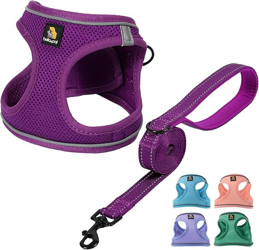 BELLA & PAL Puppy Harness with Leash Set, Dog Harness for Small Dogs No Pull, Dog Leash for Small Dogs, Step in Harness for Extra Small Dogs, Deep Purple Harness, S