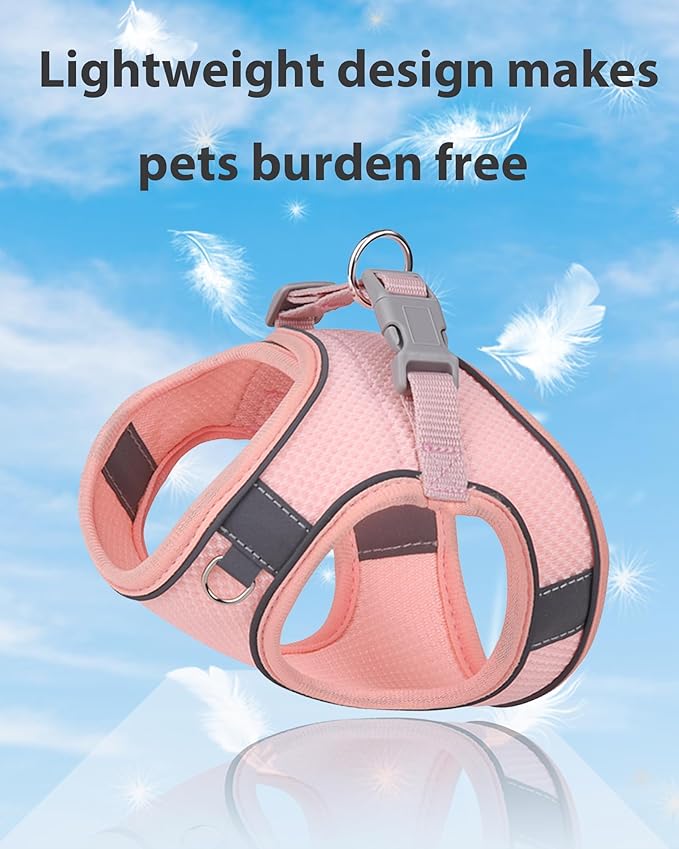 Dog Harness for Small Medium Sized Dog, Puppy Harness and Leash Set Training, Dog Harness and Leash Set, Dog Vest Harness, Dog Harness Small Sized Dog, Small Dog Harness. (Peach, XS)