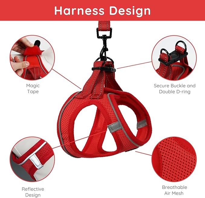BELLA & PAL Puppy Harness with Leash Set, Dog Harness for Small Dogs No Pull, Dog Leash for Small Dogs, Step in Harness for Extra Small Dogs, Red Harness, L