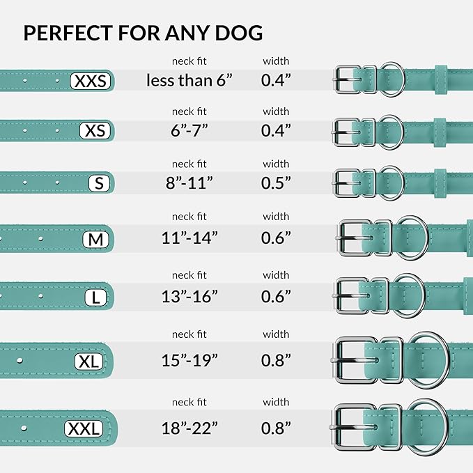 CollarDirect Rolled Leather Dog Collar, Soft Padded Round Puppy Collar, Handmade Genuine Leather Collar Dog Small Large Cat Collars 13 Colors (6-7 Inch, Mint Green Smooth)