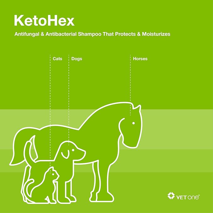 Vet One Dog Allergy Shampoo - Vet formula dog Shampoo for Dogs 8 oz