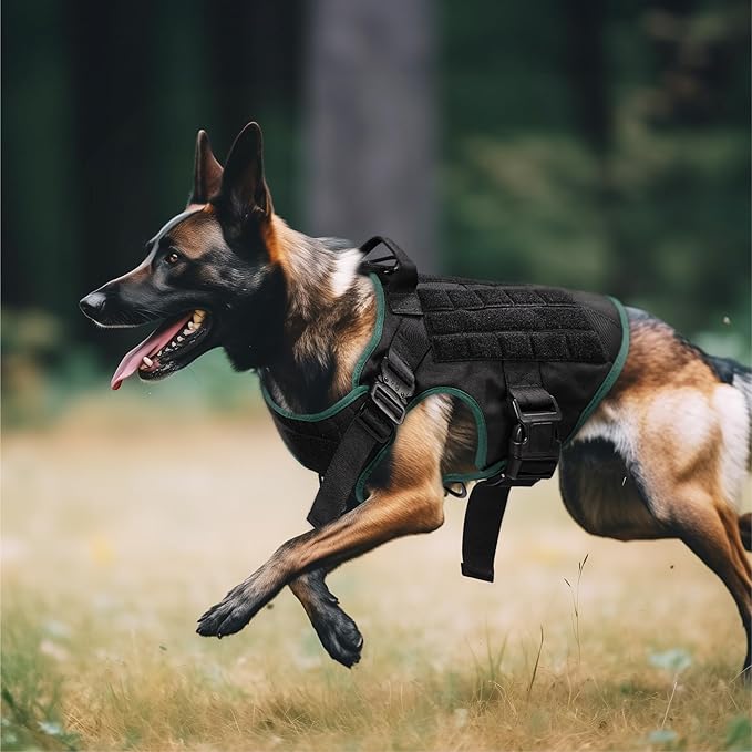 Navaris Tactical Dog Harness and Vest Set - Strong & Adjustable Fit with Metal D Ring, Front Buckles, and Handle - for Military Service Training or Assistance Dogs - Extra Large