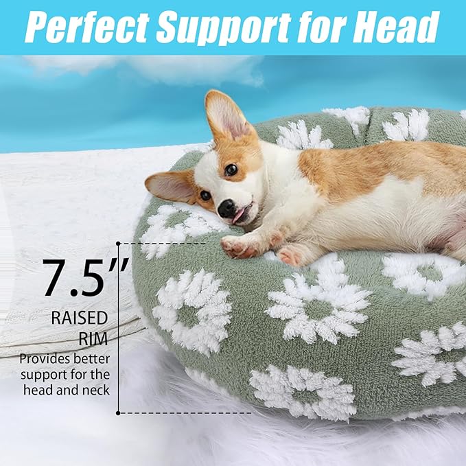 HYQ Small Dog Bed, Cat Beds for Indoor Cats, Dog Beds for Small Dogs with Anti-Slip Bottom, Cute Puppy Bed Washable-White-24inch