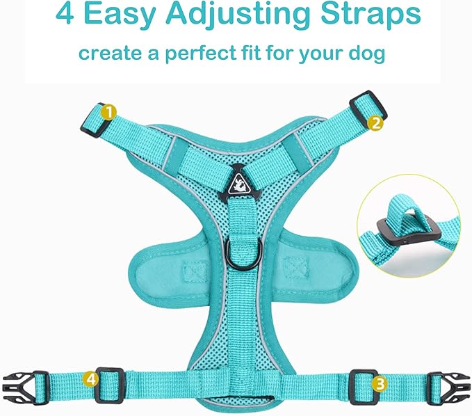 No Pull Dog Harnes with 5FT Dog Basic Leash, Breathable Soft Sandwich Air Mesh, Triangle Stable Ring, Reflective Stripes, Lightweight Pet Vest Harness for Small Dogs Cats Kitten Green S