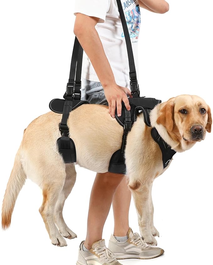 NOYAL Large Dog Lift Harness Rehabilitation Sling Lift Front-Only, Rear-Only or Full-Body for Old, Pet Support Disabled, Joint Injuries, Arthritis, Loss of Stability Dogs