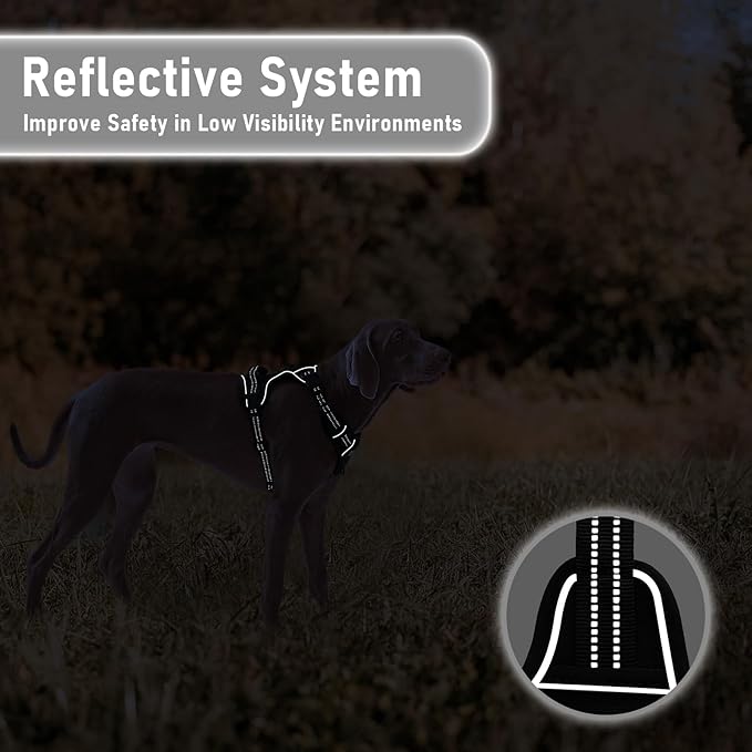 Extra Small Dog Vest Harness, No-Pull Pet Harness with 2 Leash Clips, Adjustable Soft Padded Dog Vest, Reflective No-Choke Pet Oxford Vest with Easy Control Handle for XSmall Dog Breeds, Black, XS