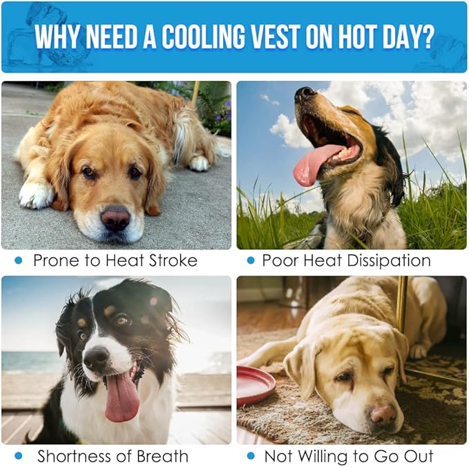 SlowTon Dog Cooling Vest - Cooling Shirt for Dogs, Evaporative Instant Cooling Vest Harness with Ice Pack Pocket, Lightweight Breathable Reflective Dog Cooling Jacket for Large Medium Small Dogs, S