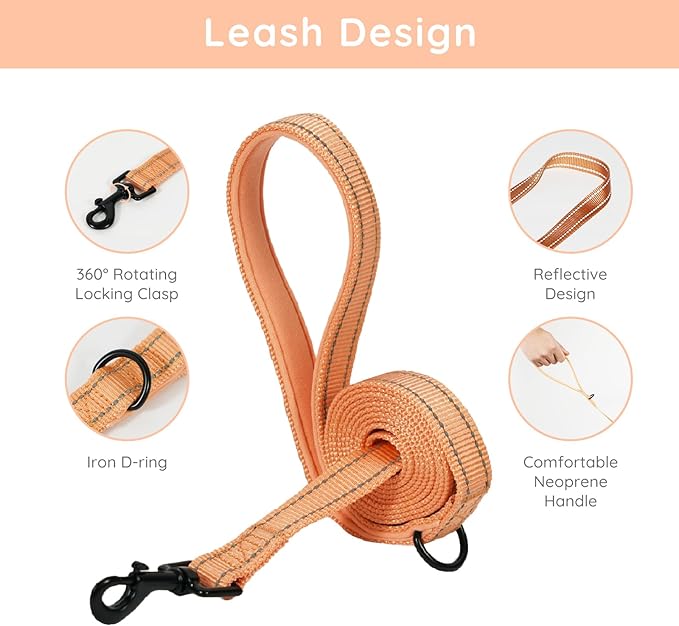 BELLA & PAL Puppy Harness with Leash Set, Dog Harness for Small Dogs No Pull, Dog Leash for Small Dogs, Step in Harness for Extra Small Dogs, Peach Harness, XS