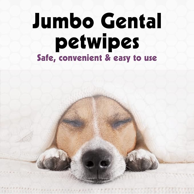 Petkin Jumbo Pet Ear Wipes, 80 Extra Moist Wipes, 2 Pack -Soothing & Deodorizing Pet Ear Cleaner to Remove Dirt, Odor, & Wax-Safe, Convenient, & Easy to Use Pet Wipes for Dogs, Cats, Puppies & Kittens