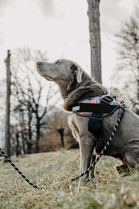 Non Pull Dog Harness with Patch Panels and Handle, Adjustable, Reflective, No Choke, Heavy Duty Easy On Service Dog Vest Harnesses for Medium Large Small Sized Dogs - USA, S