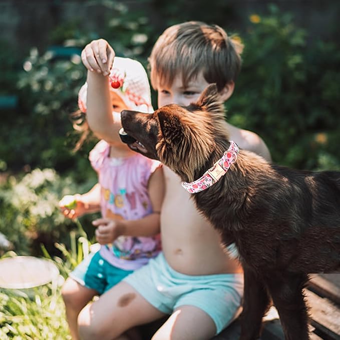 Lionheart glory Pink Dog Collar Peach Dog Collar Girl Soft Durable Adjustable Collar Spring Collar Dog for Large Dogs