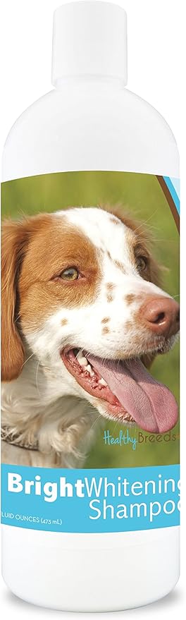 Healthy Breeds Brittany Bright Whitening Shampoo 12 oz