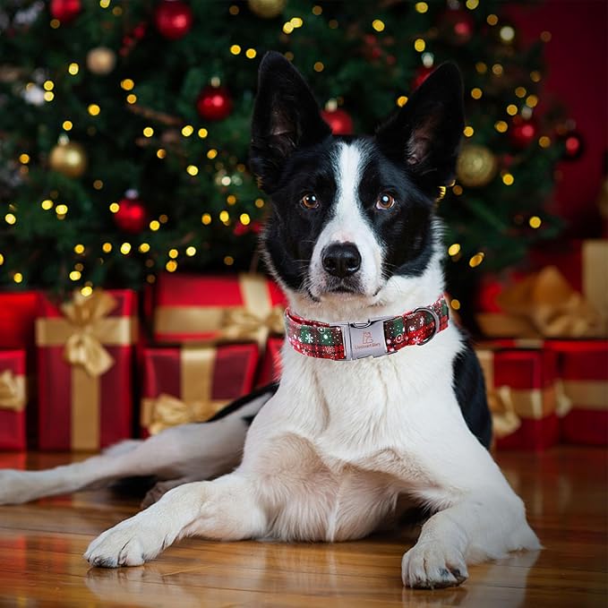 Lionheart glory Christmas Plaid Dog Collar, Dogs Collar Adjustable Soft and Comfortable Dog Collars for Small Dogs Girl or Boy Pet Gift Fall Collar Dog Collar