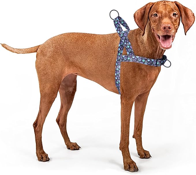 No Pull Dog Harness for Small, Medium, and Large Pets - Floral Pattern Nylon Safety Training Dog Harness (L, Skull)