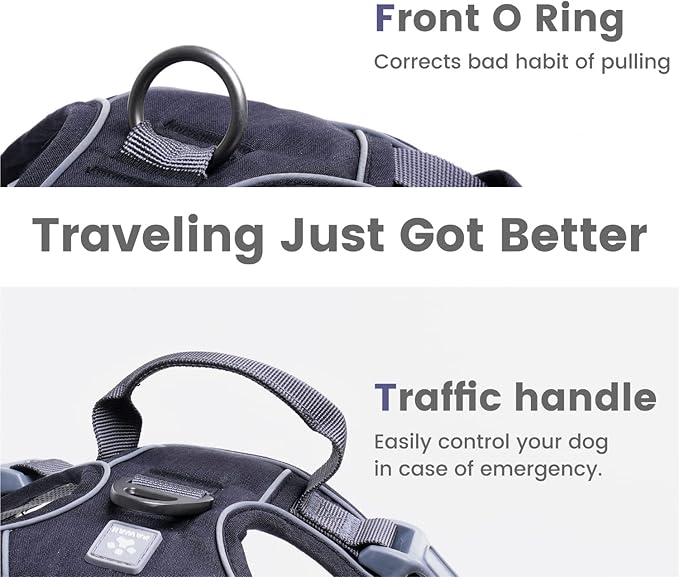 Pawaii Dog Harness for Small Dogs, Dog Harness with Pet ID Tag, No Choke Dog Harness, Adjustable Soft Padded Pet Vest with Easy Control Handle
