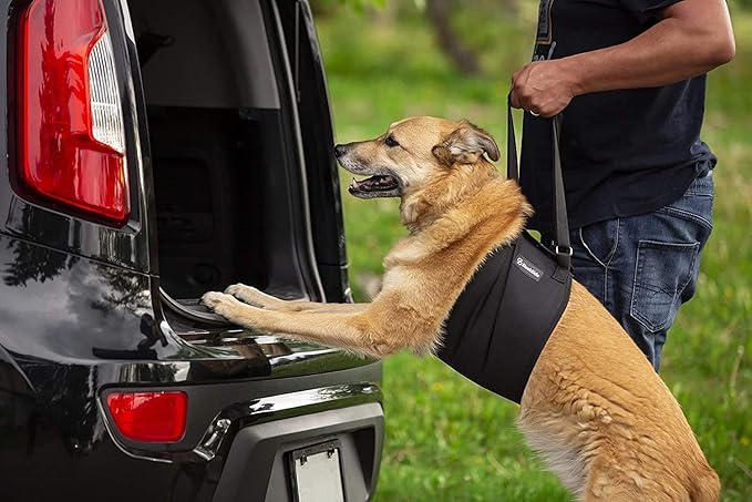 Dog Lift Sling Harness | Heavy Duty Adjustable Sling | Easy Full Body Mobility | Support for Elderly, Senior Dogs with Front/Rear Leg, Knee, Joint, Hip Injuries (XX-Large) Black