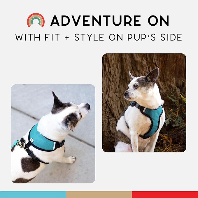 Dog Harness, Puppy Harness, Soft Harness for Dogs, Comfortable Dog Harness, Small Dog Harness, Dog Harness with Padding, 4 Point Adjustable - Wildebeest (M - 22~28 inch Girth, Turquoise)